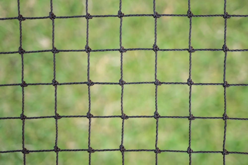 Cat clearance fence net