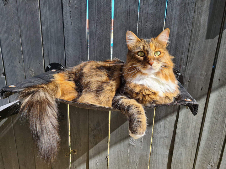 Catnets SKYWALKS Cat Climbing System Skywalks Cat Hammock - Wall Mounted