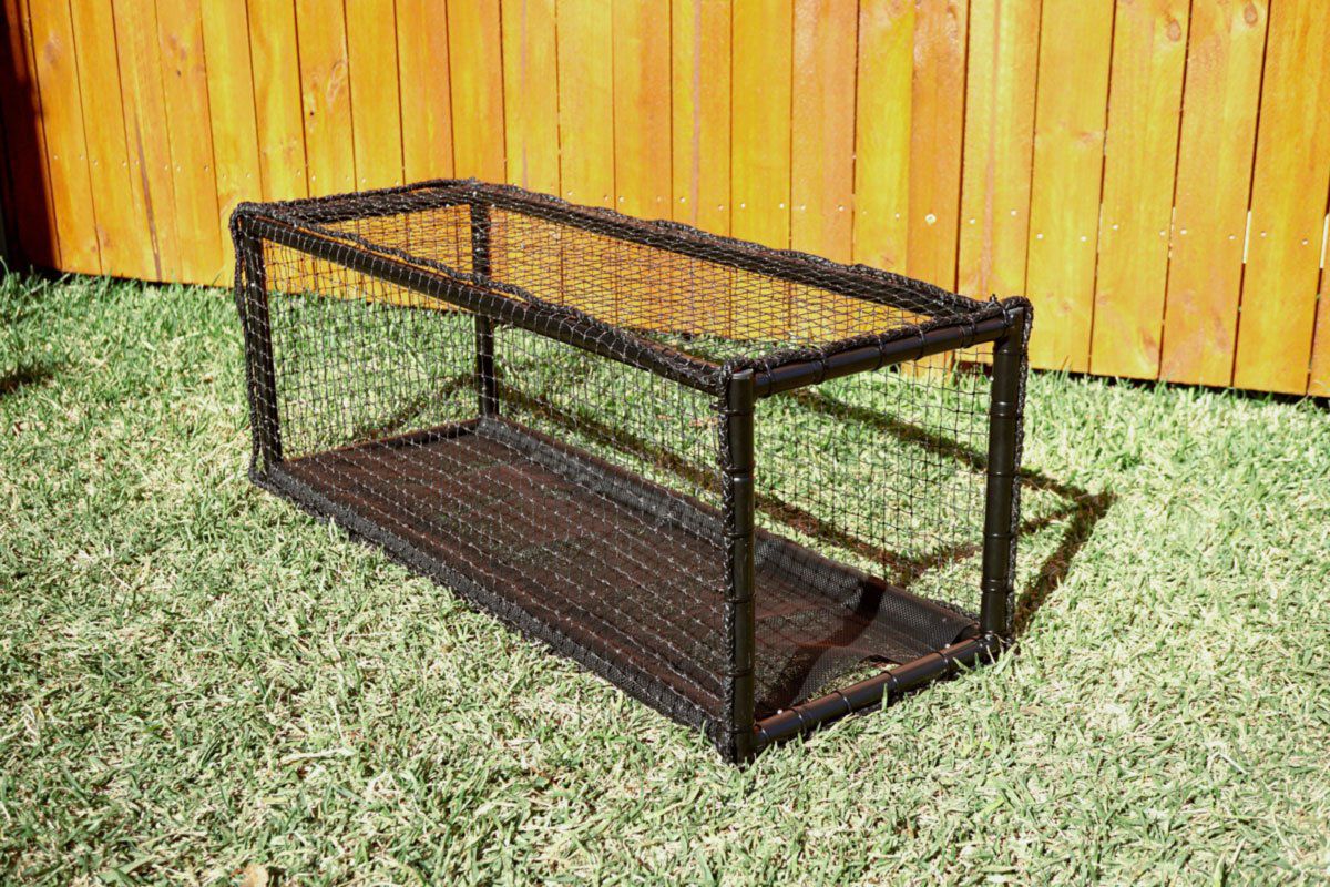 Cat Tunnel - Main Image