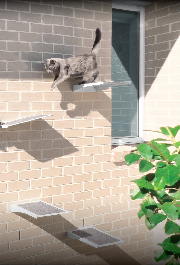 Skywalks & Climbing Systems