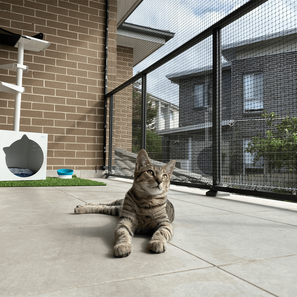 Black cat netting installed along an apartment balcony railing