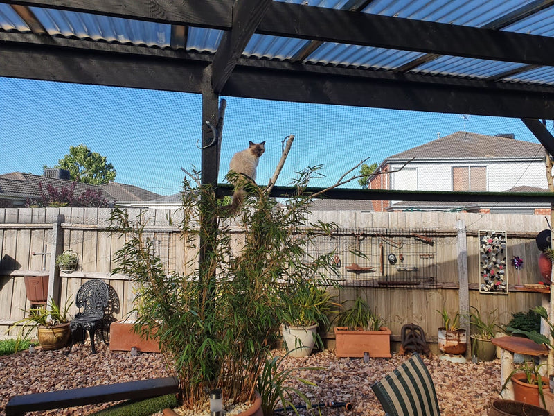 Catnet Cat Netting – Catnets