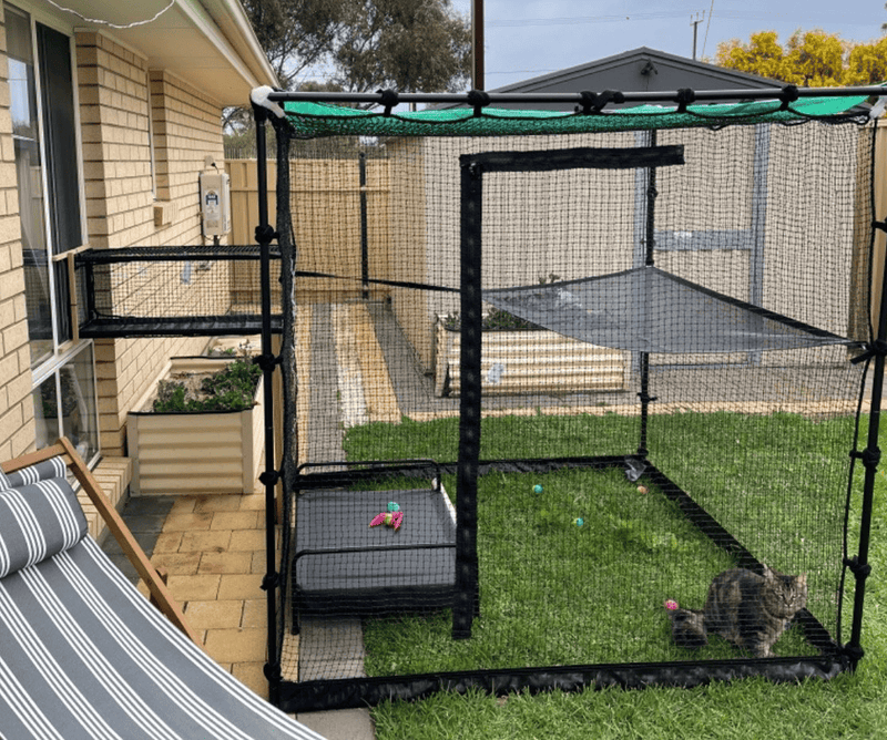 Portable Cat Enclosures
