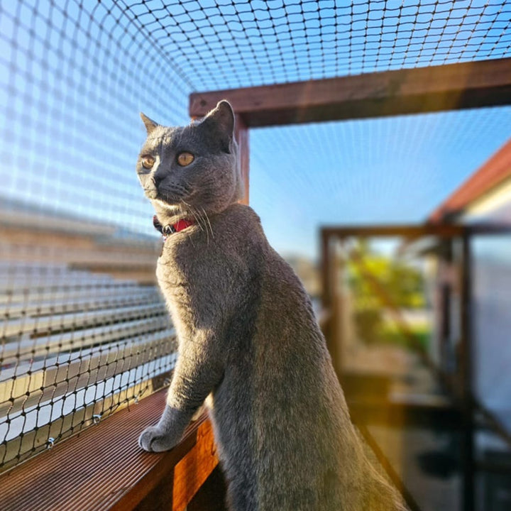 Cat Netting – Catnets