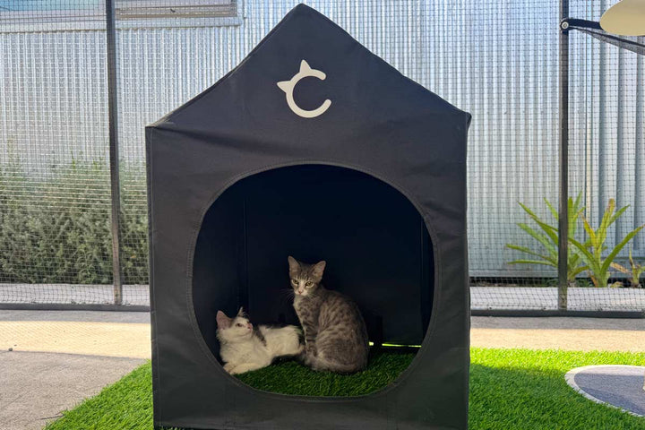 Catnets Outdoor Litter Box Shelter