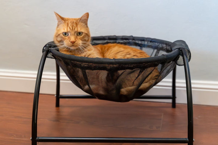 Catnets Cat Furniture Skywalks Floor Cat Hammock – With Stand