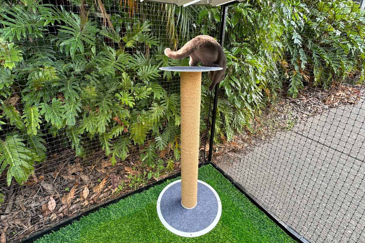 Catnets SKYWALKS Cat Climbing System Skywalks Outdoor Cat Scratching Tower