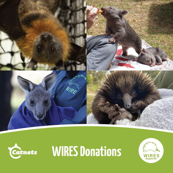 Catnets WIRES: Donations