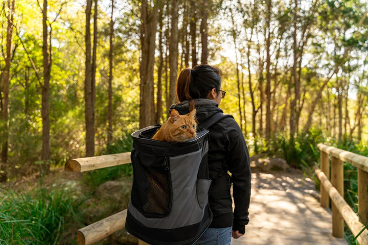 Havapet Pet Carriers & Crates Backpack Cat Carrier