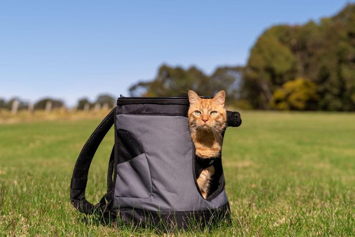 Backpack Cat Carrier – Catnets