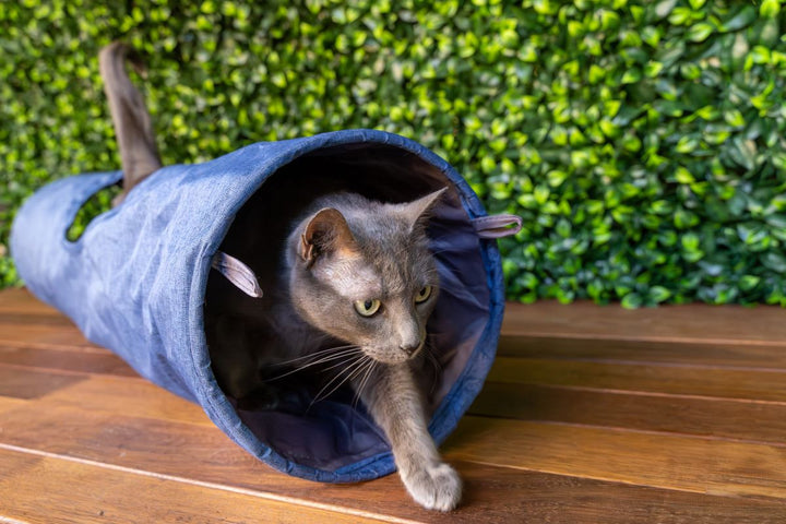 Havapet Cat Furniture Accessories Cat Play Tunnel