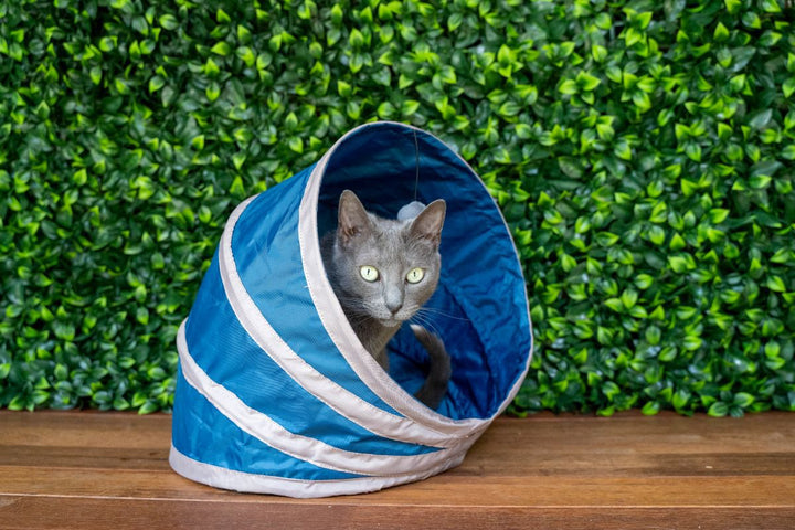 Havapet Cat Beds Cozy Cat Bed