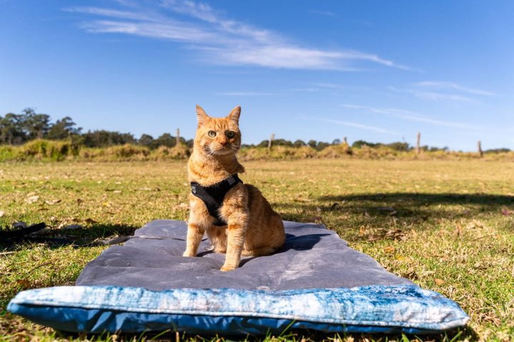Havapet Cat Furniture Accessories Travel Pet Mat