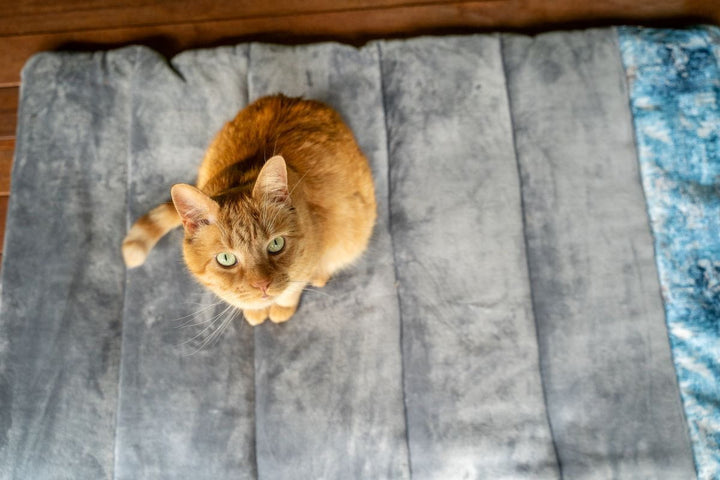 Havapet Cat Furniture Accessories Travel Pet Mat