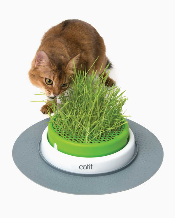 Catnets Catit 2.0 - Grass Planter + Grass Planter Refill