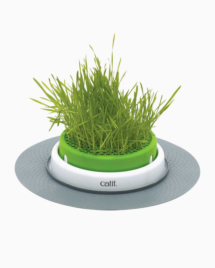 Catnets Catit Catit 2.0 - Grass Planter