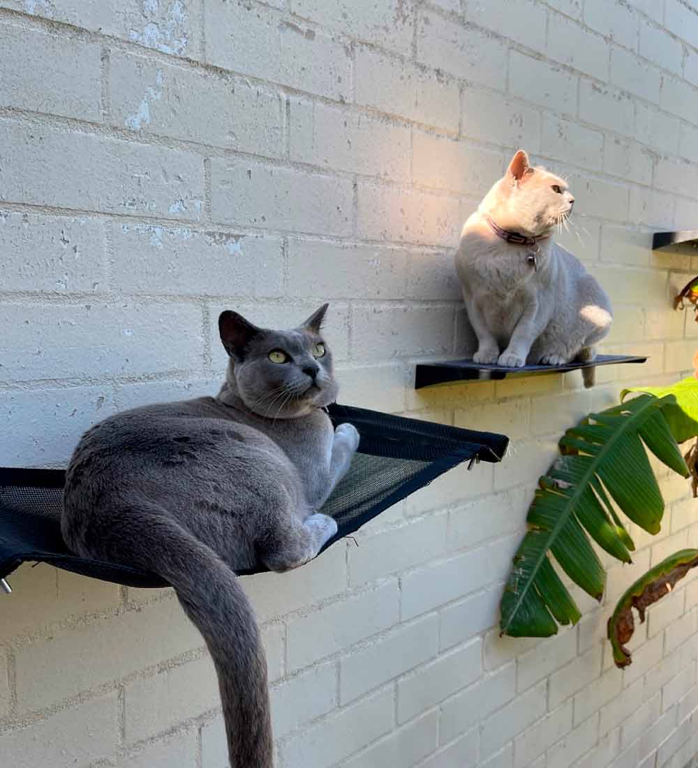 Carpeted Cat Climbing Ramp Catnets