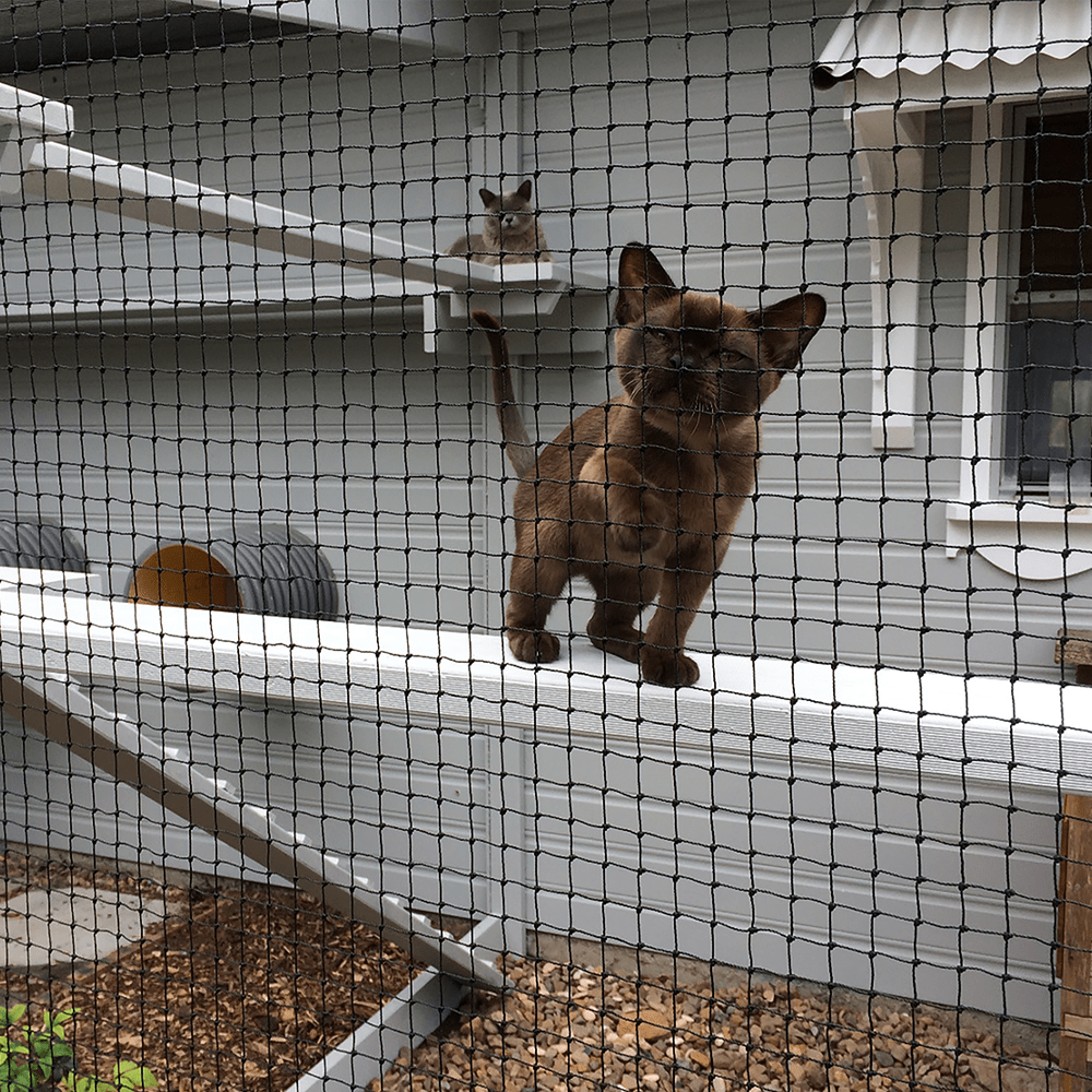 Catmax Netting Cat Netting (by-the-metre) Black – Catnets