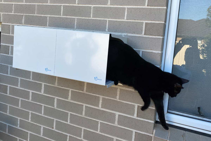 Catnets SKYWALKS Cat Climbing System Skywalks Cat Hideaway "Large"