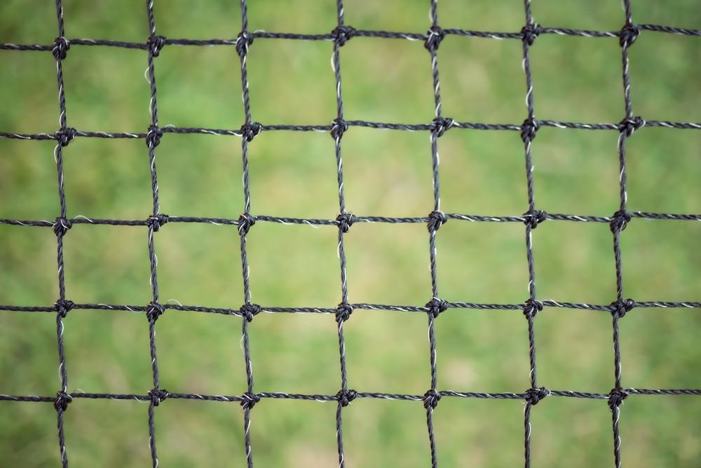 Stainless Steel Complete Wall Net with F-Zipper (3.5m x 3.5m Net) – Catnets