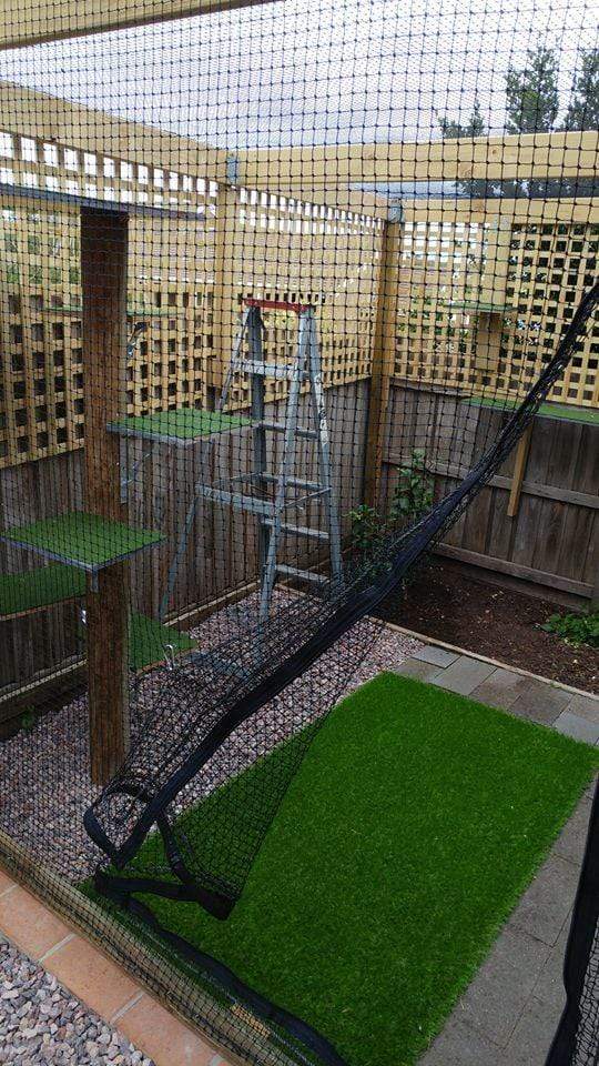 Complete Wall Net with F-Zipper (3.5m x 3.5m Netting) - Black – Catnets