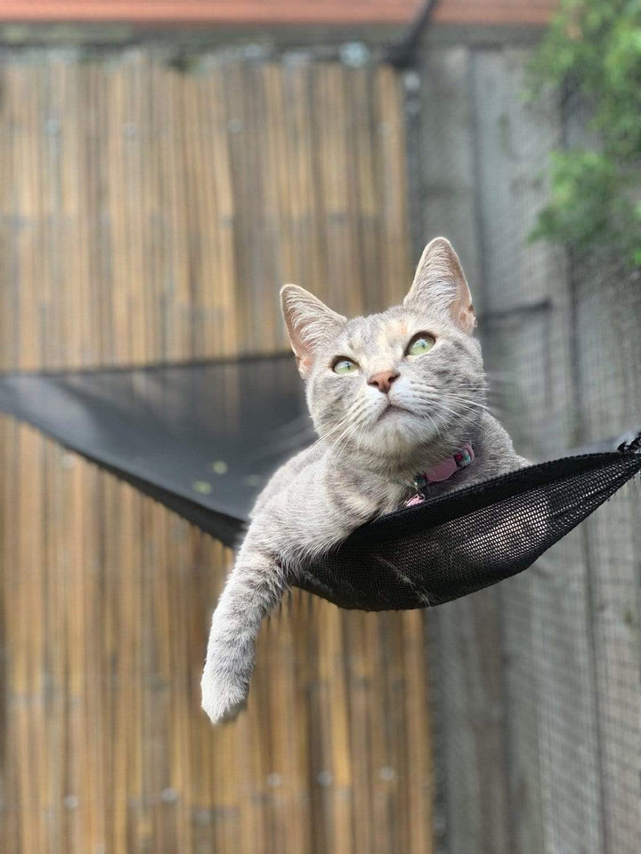 Catnets Enclosure Accessories Cat Hammock to suit 1.2m Freestanding Enclosure