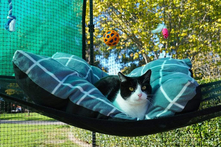 Catnets Enclosure Accessories Cat Hammock to suit 1.2m Freestanding Enclosure