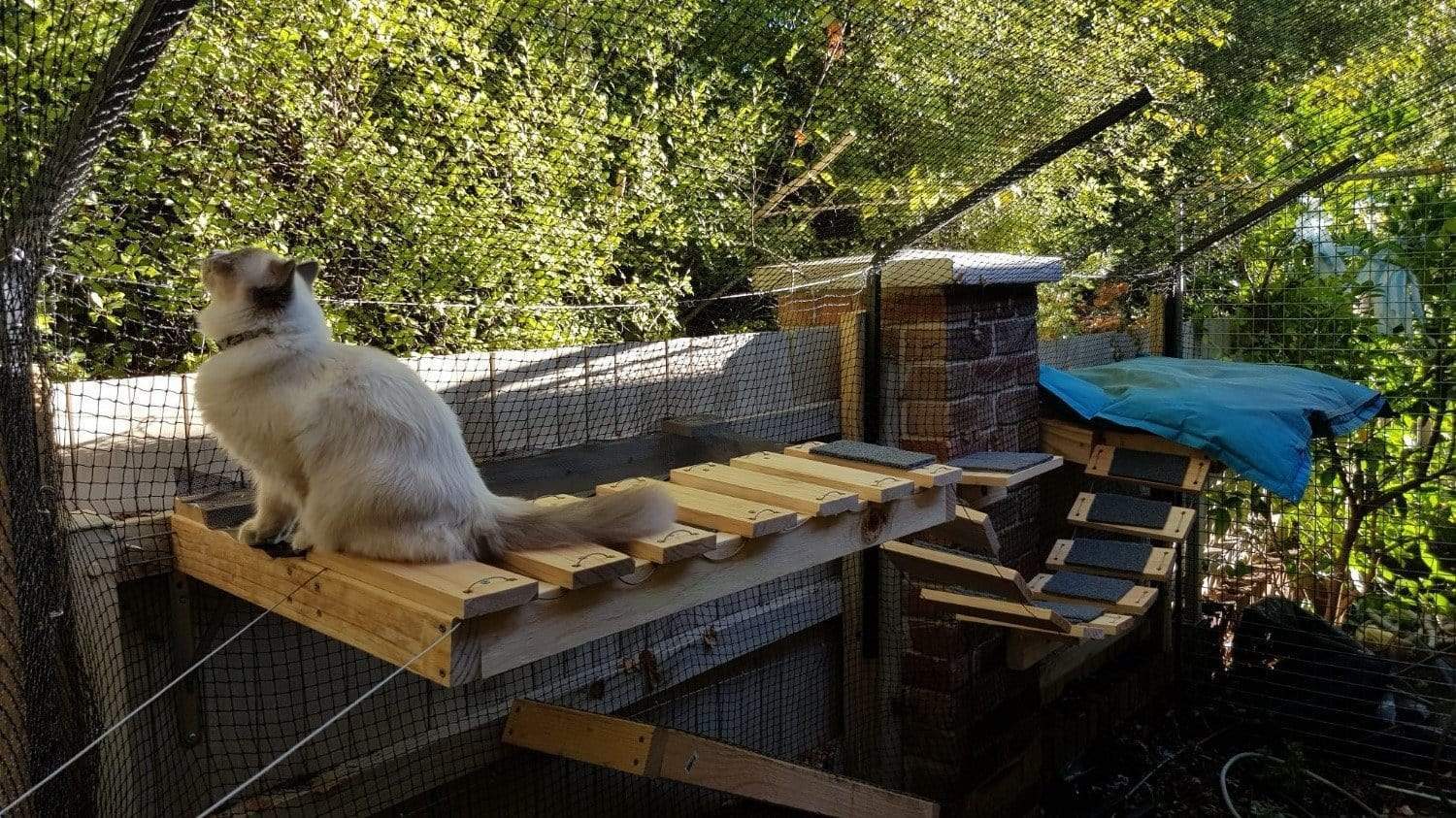 Outdoor cat fence top topper