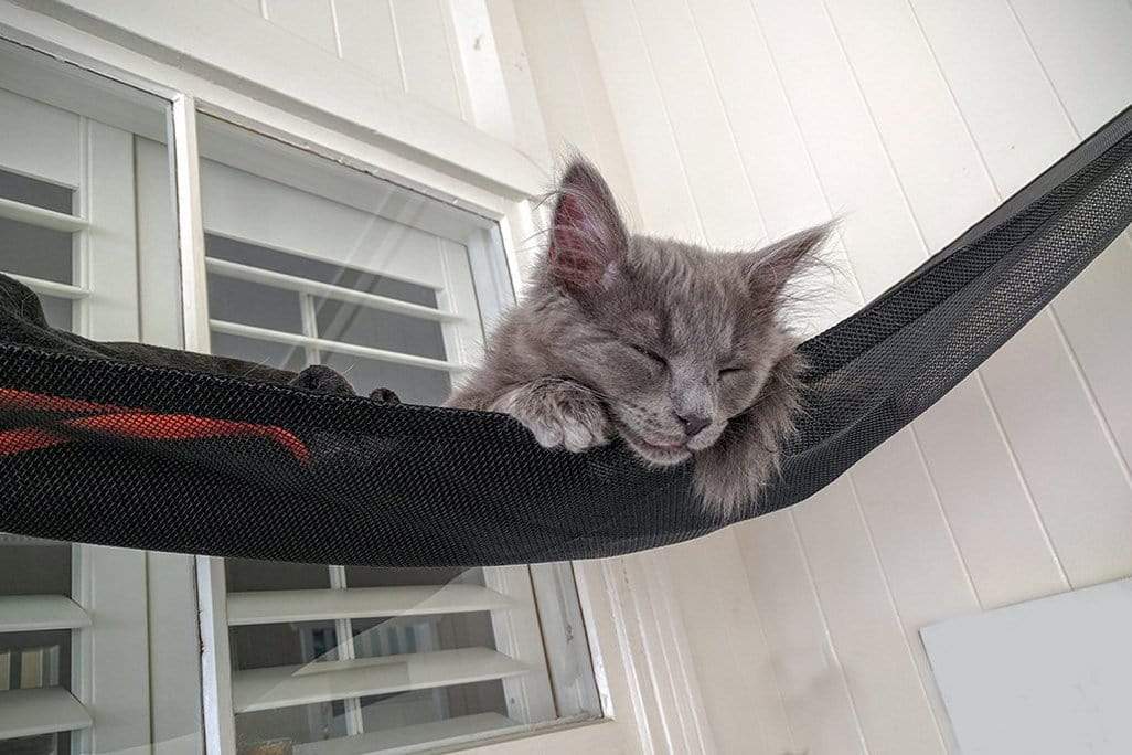 Catnets OUTDOOR CAT ACCESSORIES Corner Hammock Kit