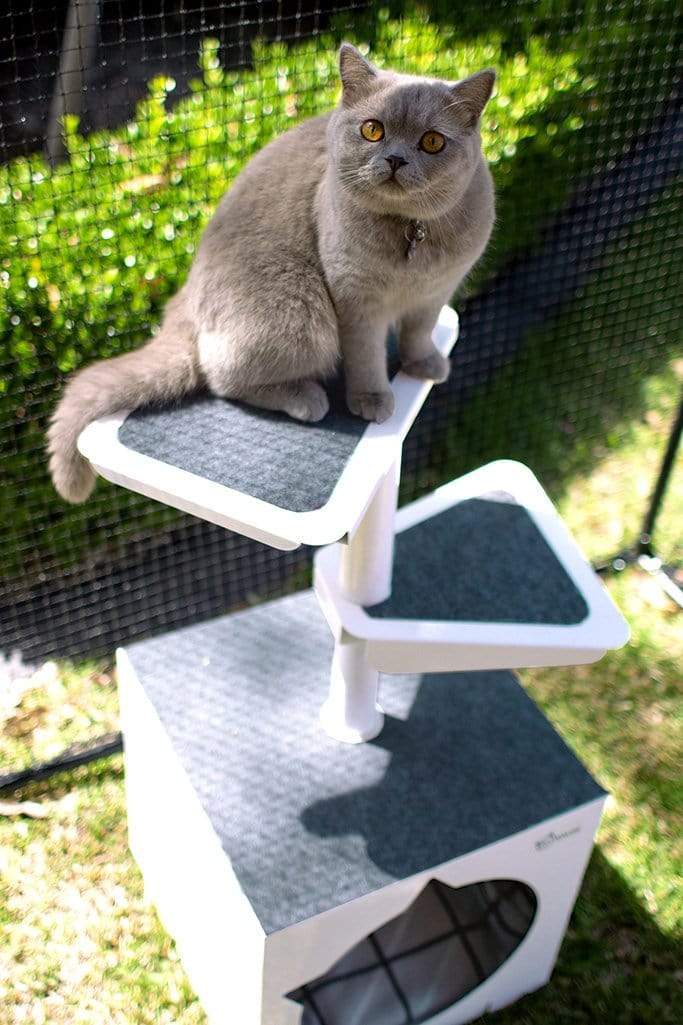 Catnets SKYWALKS Cat Climbing System Skywalks Outdoor Cat Tree